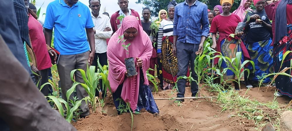 Youth Clubs Across Malawi Embrace Conservation Theatre
