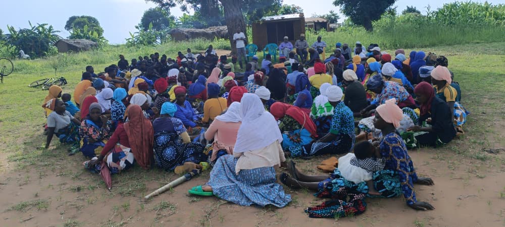 Research & Monitoring