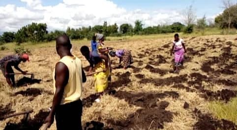 TOWARDS A 30-MILLION-TREE TARGET BY 2030
